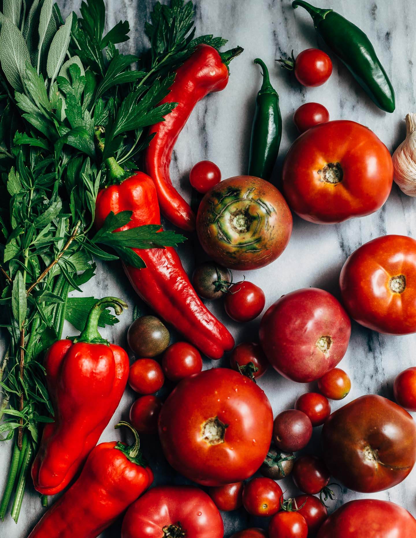 roasted tomato and red pepper dip // brooklyn supper