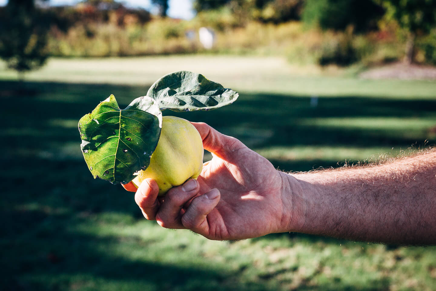 Visiting Sub-Zero and Wolf's Harvest Haven barn and garden in Fitchburg, Wisconsin