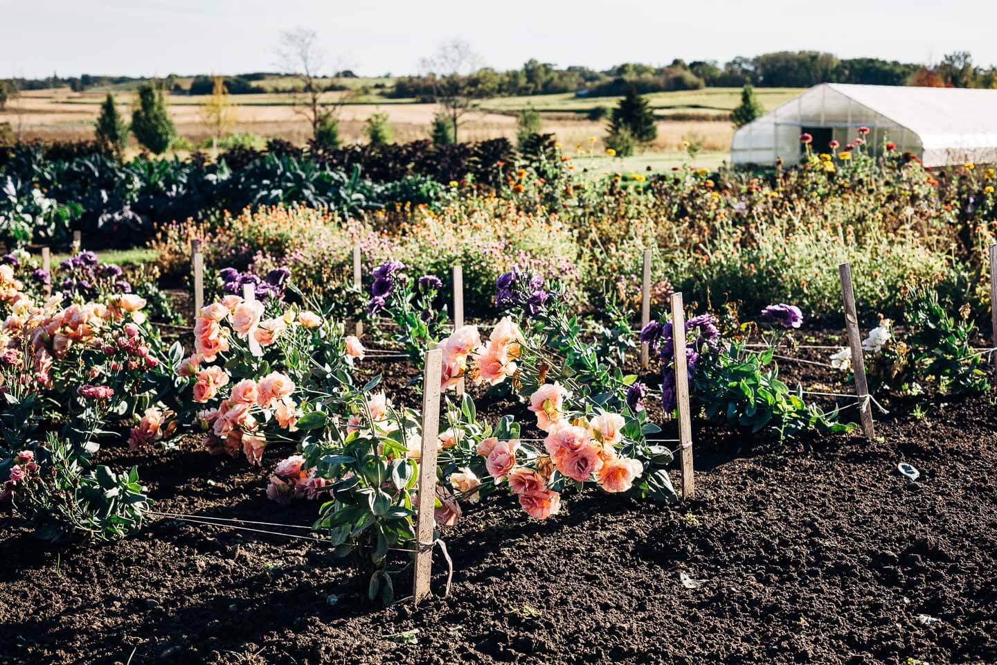 Visiting Sub-Zero and Wolf's Harvest Haven barn and garden in Fitchburg, Wisconsin