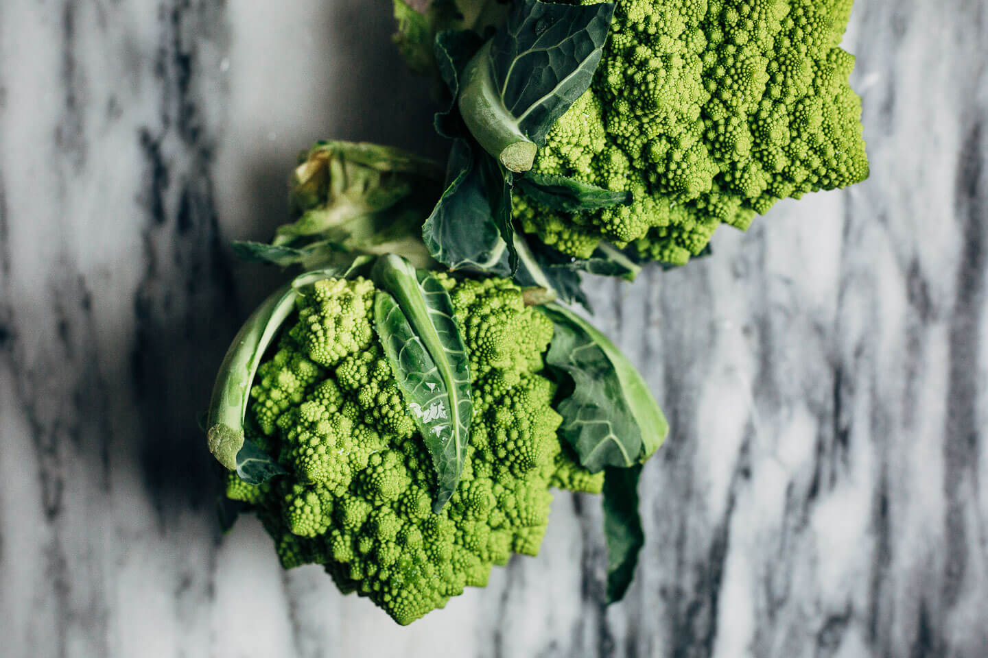 Keep winter eating interesting with this Whole30-compliant recipe for roasted Romanesco broccoli paired with a creamy vegan sunflower seed dressing made with soaked sunflower seeds and fresh Meyer lemons.
