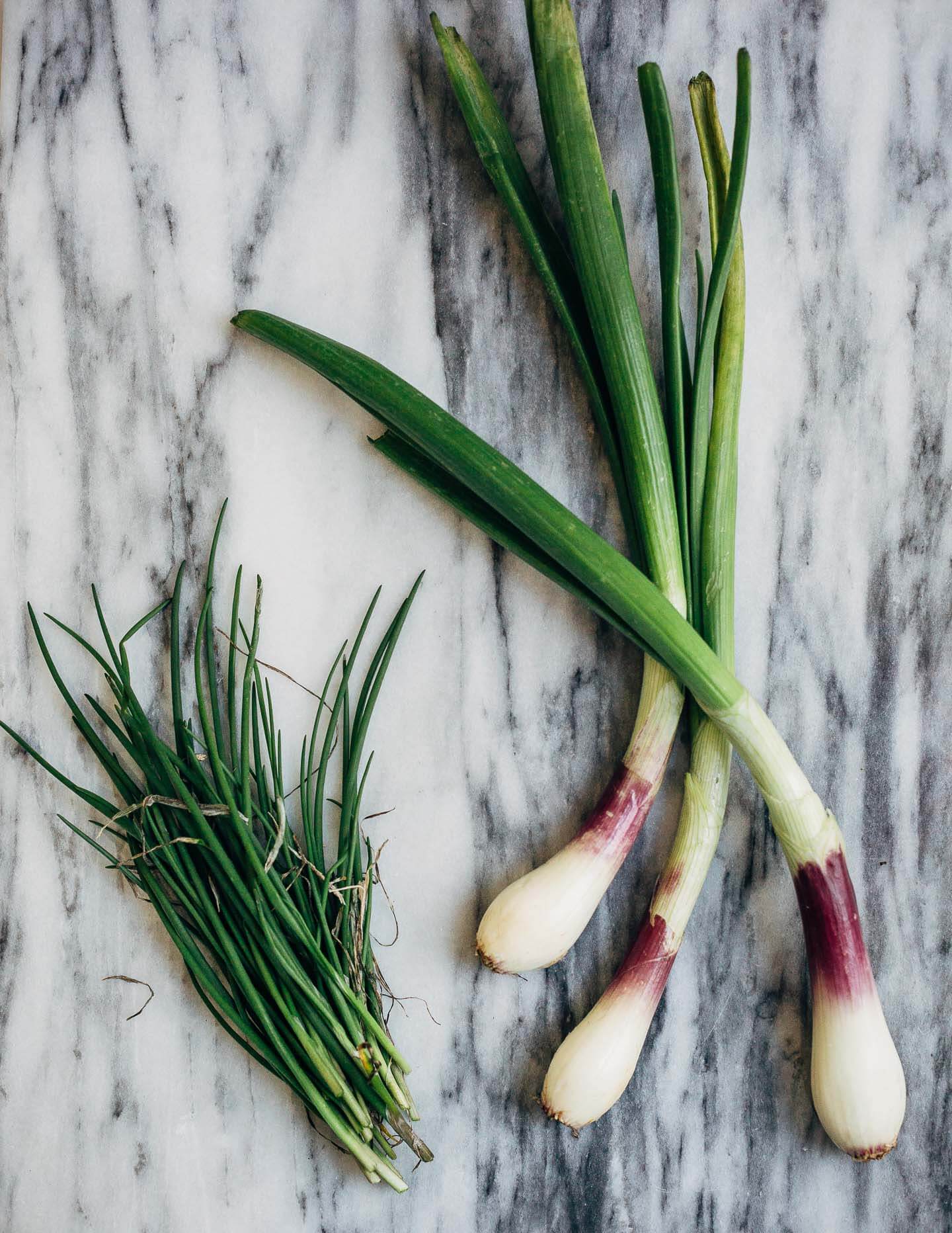 Celebrating the season's first shoots with a vibrant spring onion and chive pesto pasta tossed with sautéed shrimp that's perfect for dinner parties or a quick weeknight meal.