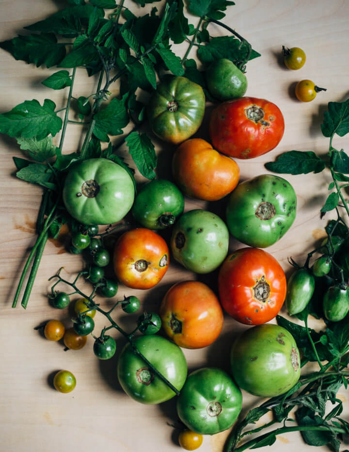 Fried Green Tomatoes with Sautéed Shrimp - Brooklyn Supper