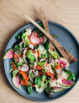 A colorful smoked salmon salad to herald spring! Smoked salmon and delicate lettuces are layered with thinly sliced fennel, radish, and red onion, and tossed with an assertive Dijon and horseradish vinaigrette.