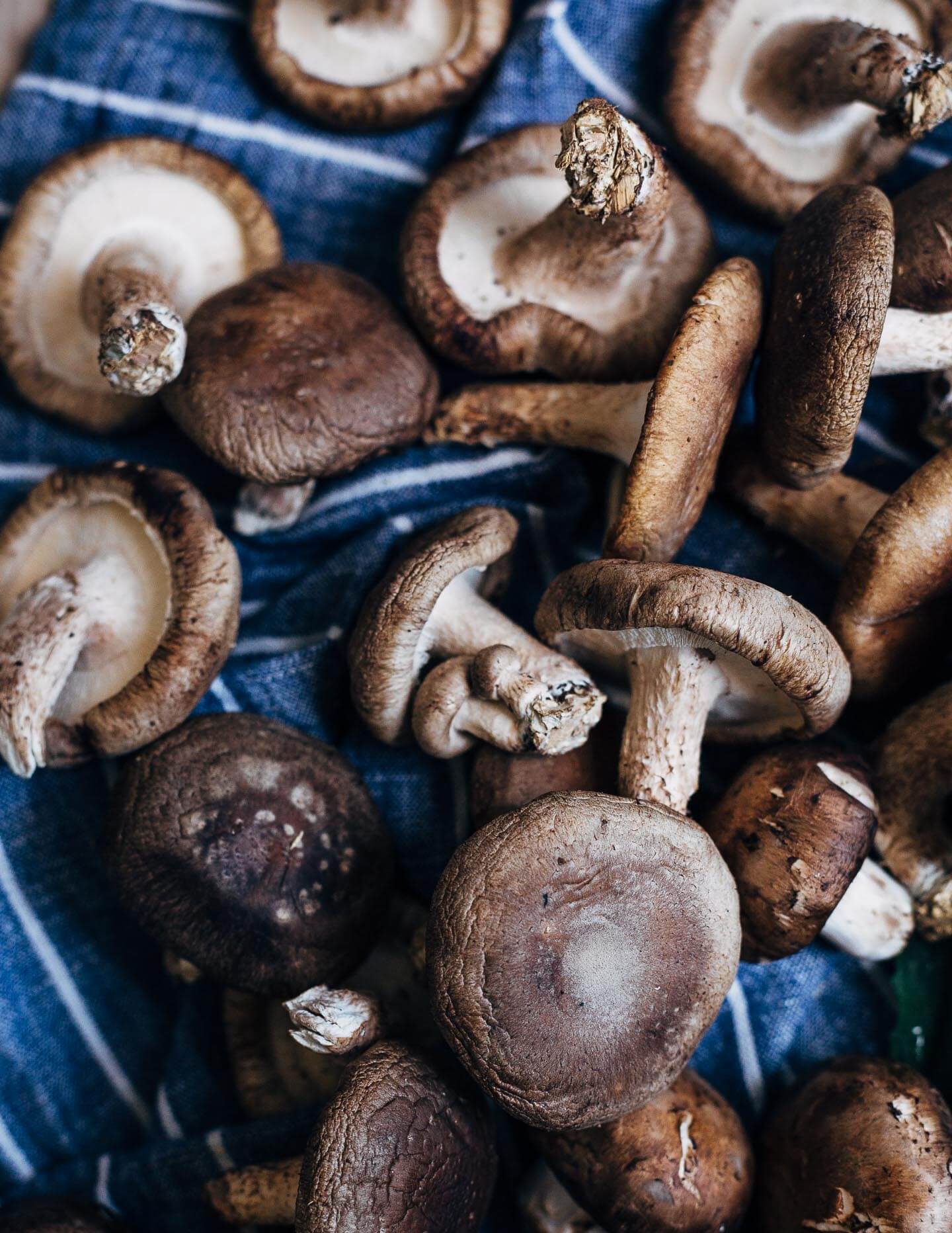 Shiitake and porcini mushrooms