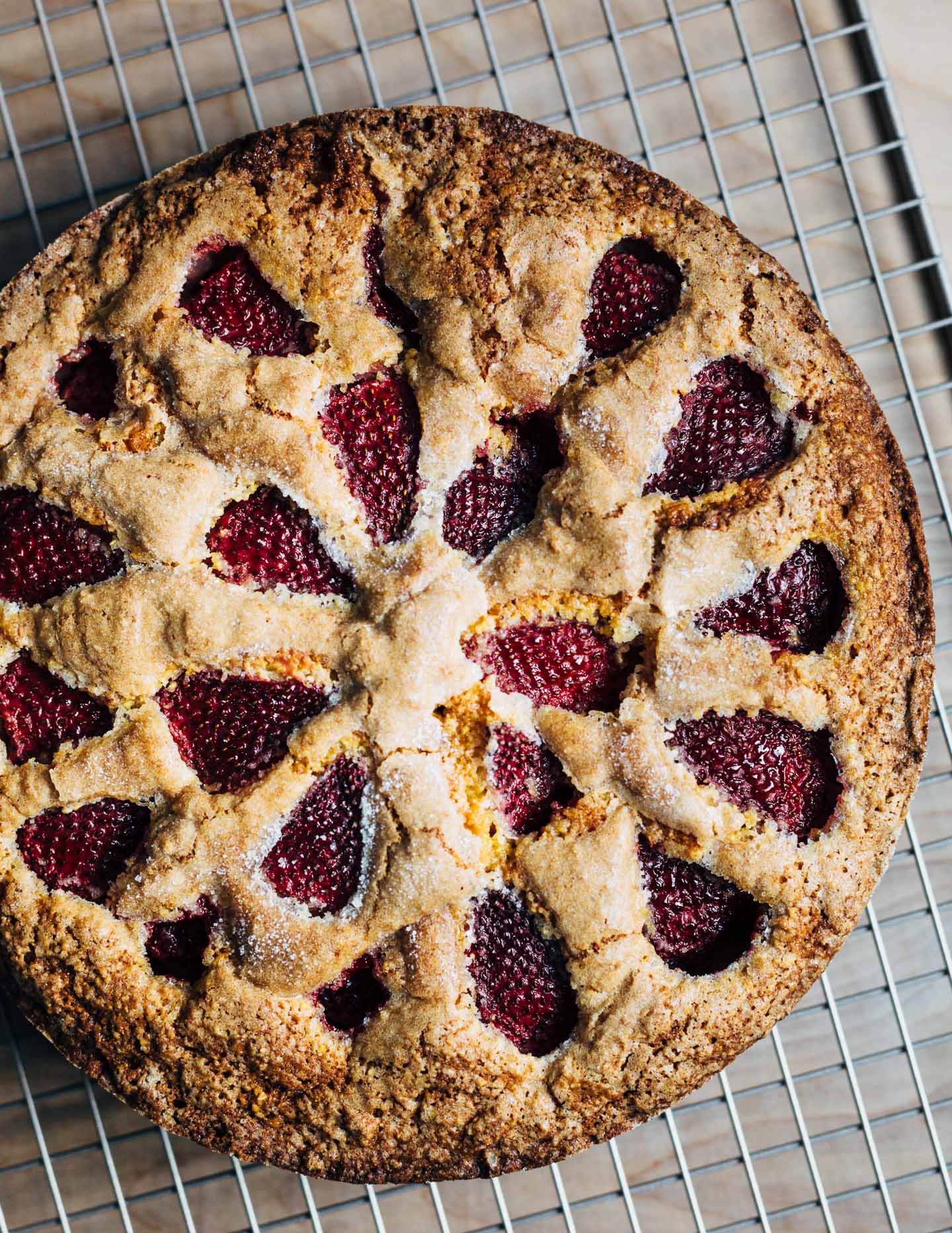 A rustic strawberry cornmeal cake with fresh strawberries, cornmeal, and flecks of polenta.