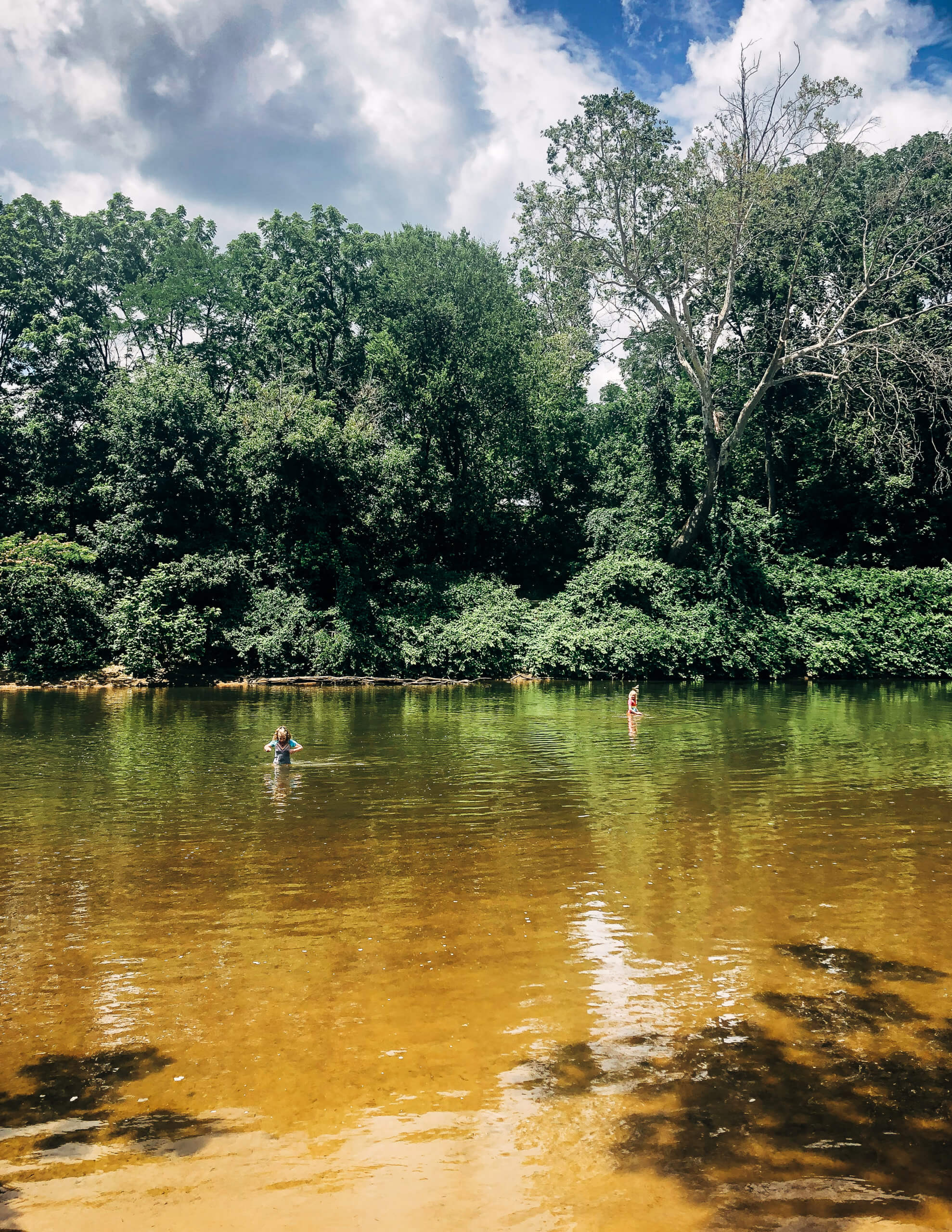 Swimming in the Rivanna, Charlottesville. 