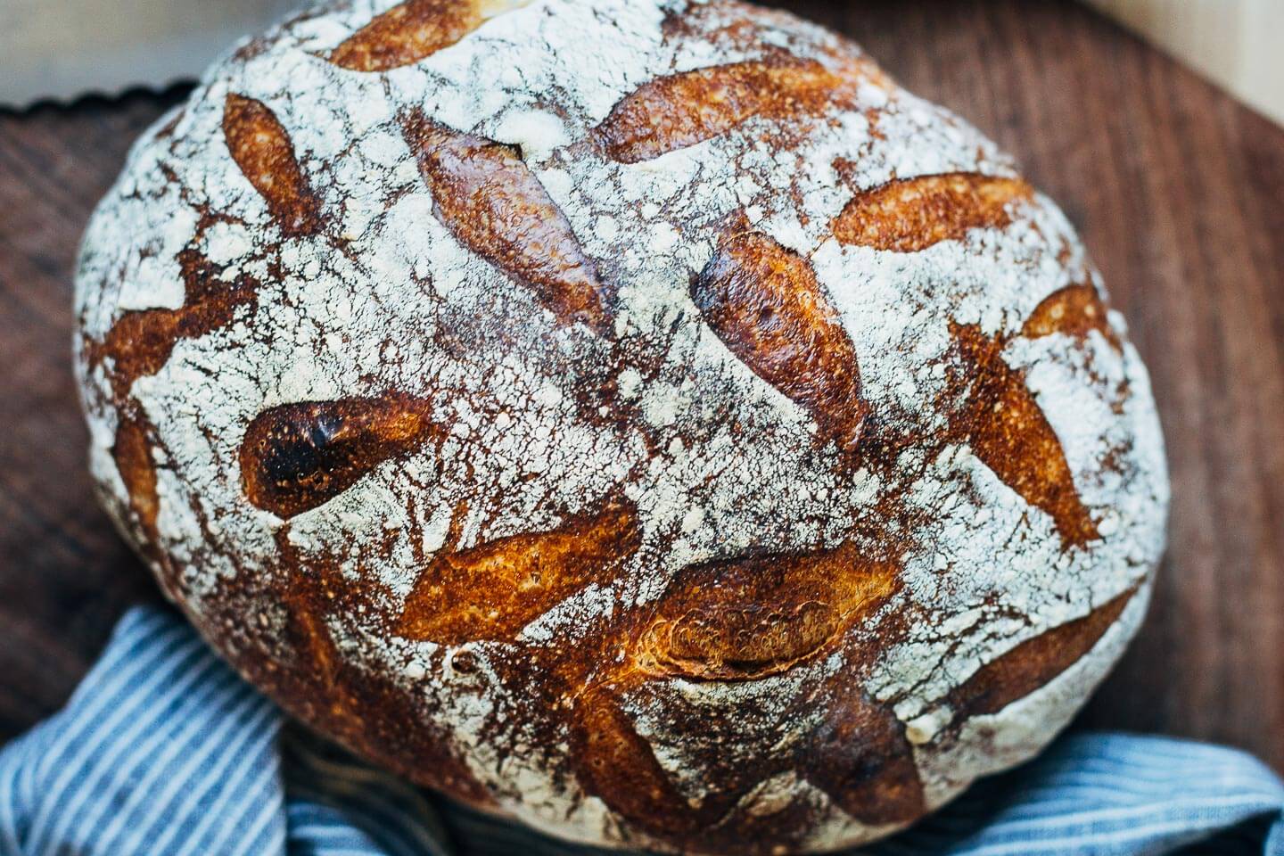 A loaf of homemade sourdough.