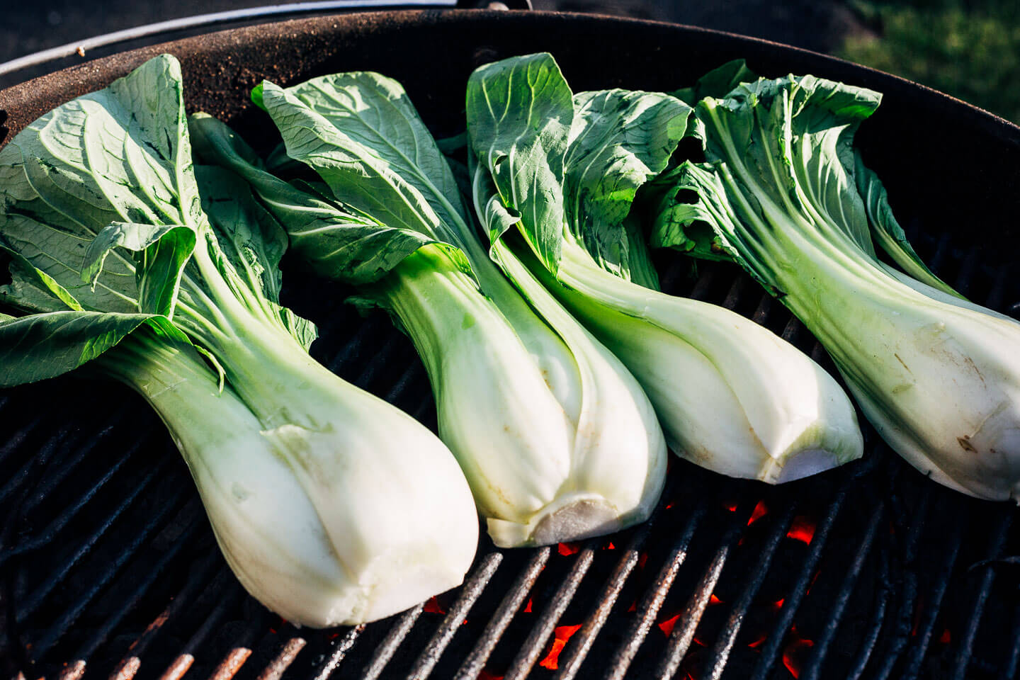 Grilling bok choy