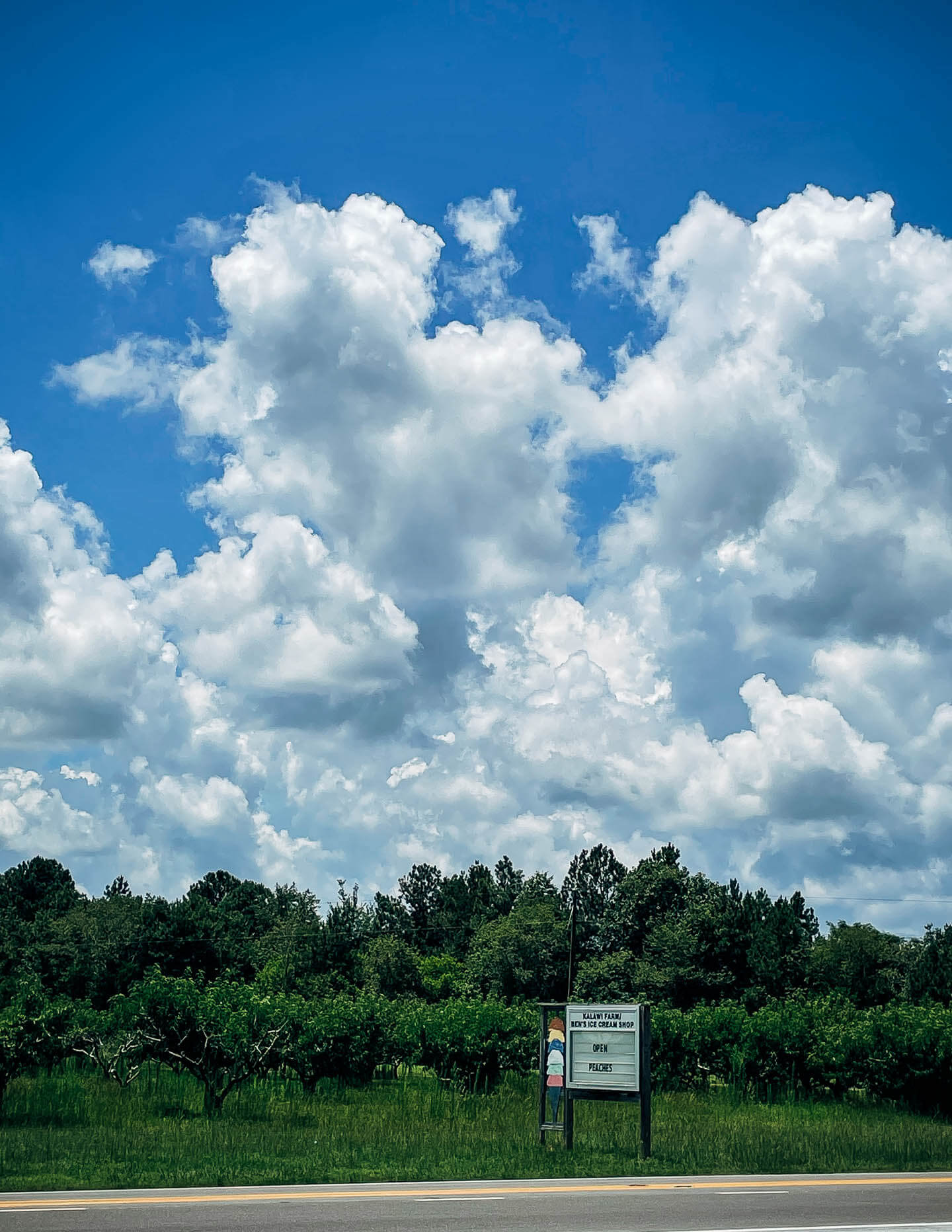 Roadside farmstand in North Carolina.