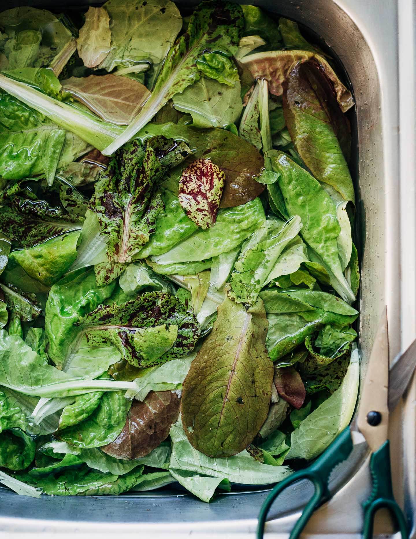 A sink filled with water and lettuce leaves. 