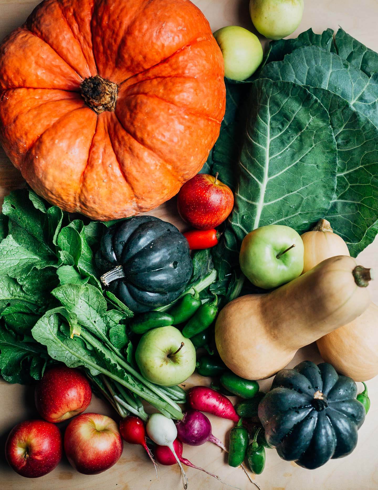 Fall produce laid out on a table, with squash, greens, radishes, and apples. 