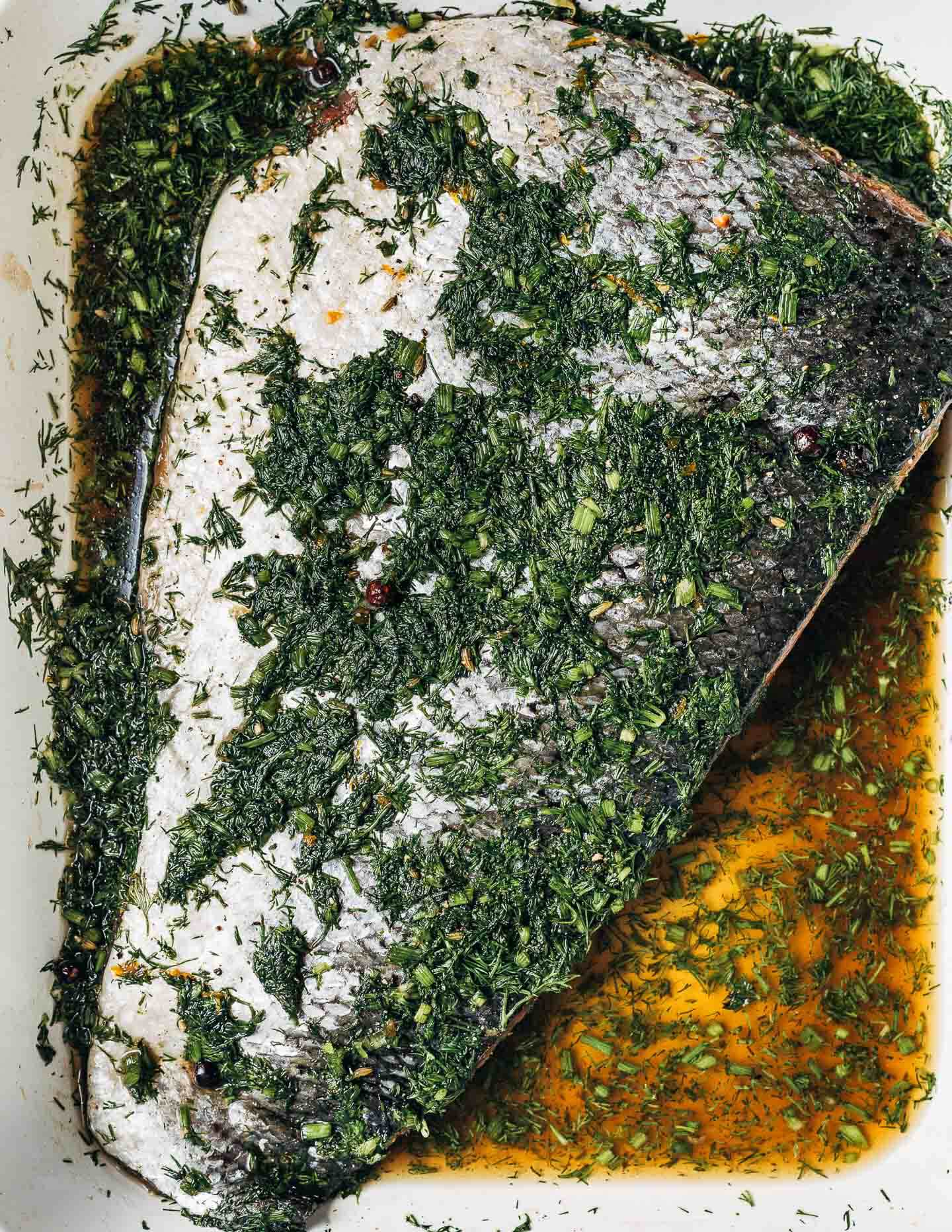 The skin of a cured salmon filet with dill and spices clinging to the skin. 